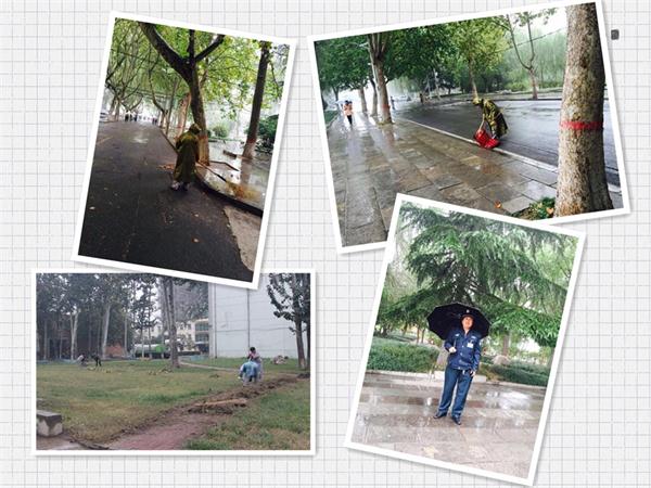 工程大學(xué)迎教學(xué)評(píng)估，我公司全力配合保障