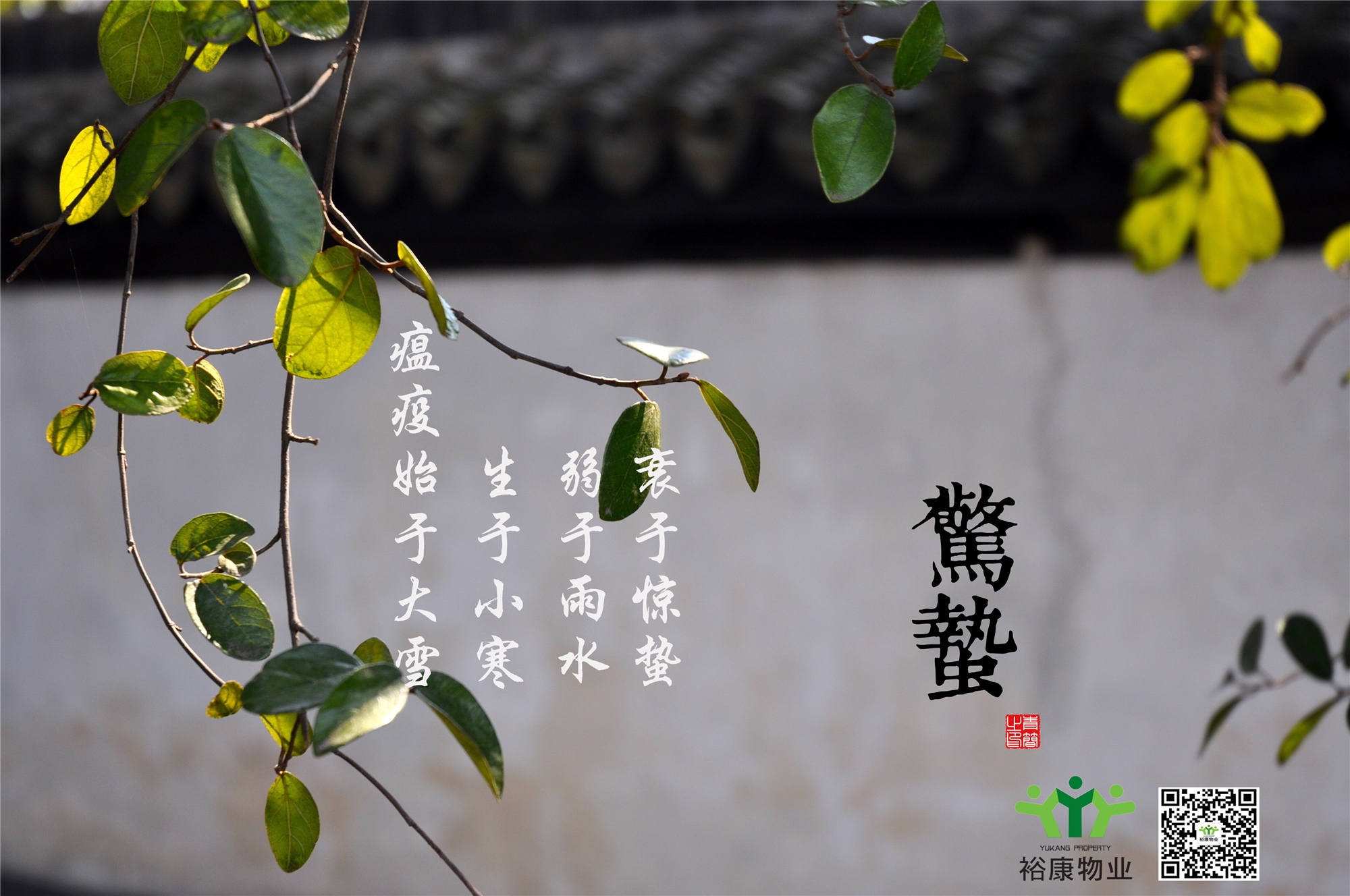 庚子春，二月十二，驚蟄日