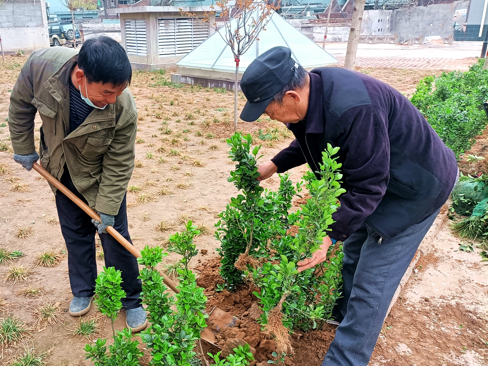 “綠色呼吁”——?？滴飿I(yè)植樹活動(dòng)